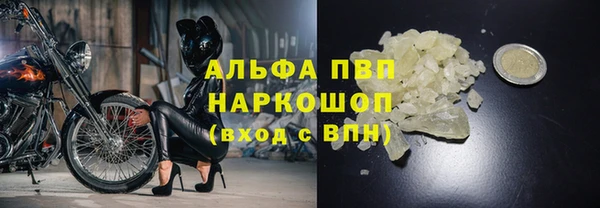 эйфоретик Новодвинск