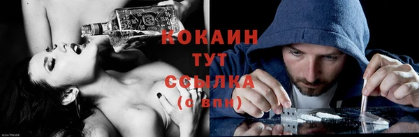 твердый Няндома
