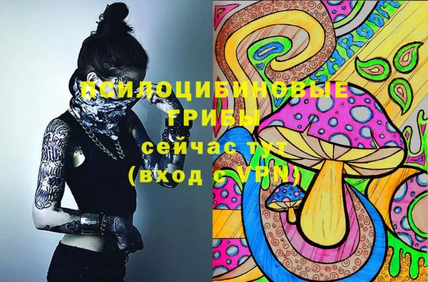прущая мука Билибино