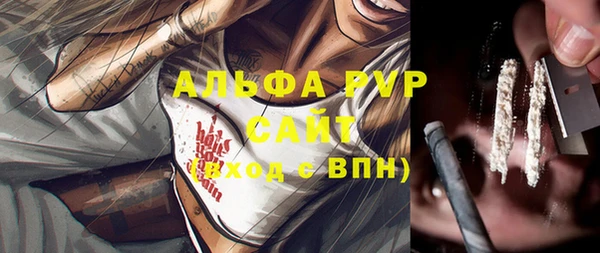 ALPHA-PVP Новозыбков