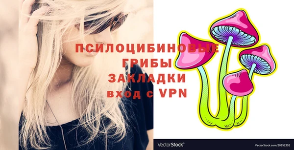 эйфоретик Новодвинск
