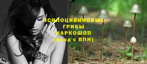 эйфоретик Новодвинск